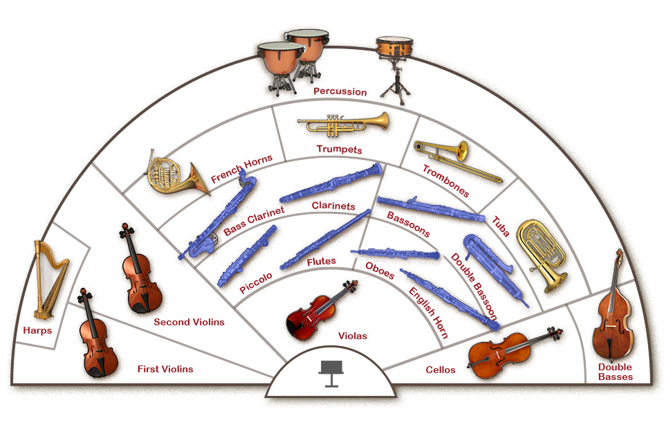 Instruments of the symphony orchestra hotsell